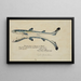 Squalus acanthias Zwillings Siamese Aiguillat tacheté - Frank Edward Clarke — gerahmtes Bild an der Wand