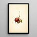 Berg Ribes - Frank Muller — gerahmtes Bild an der Wand