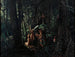 Indianer Amazonas, die dem Sonnengott huldigen - François-Auguste Biard — Ansicht des Kunstwerks