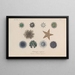 Traité de botanique générale Pl008 - François Hérincq — gerahmtes Bild an der Wand
