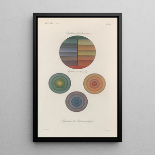 Franois Hrincq - Traite de botanique generale Pl052.webp