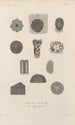 Traité de botanique générale Pl083 - François Hérincq — Ansicht des Kunstwerks