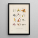 Traité de botanique générale Pl090 - François Hérincq — gerahmtes Bild an der Wand