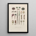 Traité de botanique générale Pl092 - François Hérincq — gerahmtes Bild an der Wand