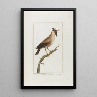 Franois Levaillant - Le porte lambeau.webp