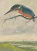 Martin-Pêcheur auf einem Ast in einer Wiesenlandschaft - Frans Everbag — Ansicht des Kunstwerks