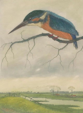 Frans Everbag - IJsvogel op een tak in een weidelandschap.webp