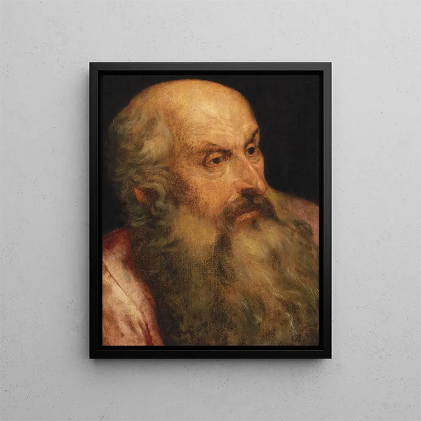Studie eines bärtigen Mannes - Frans Floris — gerahmtes Bild an der Wand