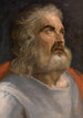 Mann mit Bart - Frans Floris — Ansicht des Kunstwerks