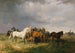 Pferde in der Puszta - Franz Adam — Ansicht des Kunstwerks