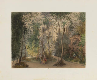 Der Wintergarten im kaiserlichen und königlichen Hofburg in Wien - Franz Antoine — Ansicht des Kunstwerks