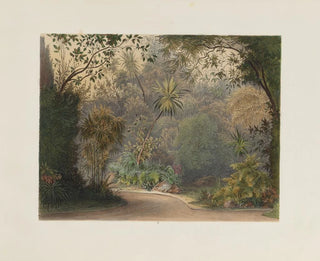 Der Wintergarten im kaiserlichen und königlichen Hofburg in Wien - Franz Antoine — Ansicht des Kunstwerks