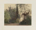 Der Wintergarten im kaiserlichen und königlichen Hofburg in Wien - Franz Antoine — Ansicht des Kunstwerks