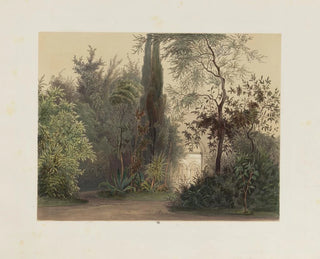 Der Wintergarten im kaiserlichen und königlichen Hofburg in Wien - Franz Antoine — Ansicht des Kunstwerks
