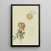 Schlehdorn und Chrysantheme - Franz Theobald Horny — gerahmtes Bild an der Wand