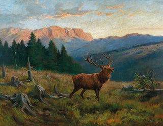 eines königlichen Hirsches bei Dämmerung - Franz Xaver von Pausinger — Ansicht des Kunstwerks