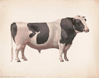 Colantha Johanna Lad - Fred Tolman — Ansicht des Kunstwerks