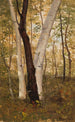 In den Wäldern Hudson New York - Frederic Edwin Church — Ansicht des Kunstwerks