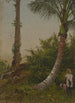 Bäume in Jamaika Antillen - Frederic Edwin Church — Ansicht des Kunstwerks