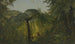Tropische Landschaft - Frederic Edwin Church — Ansicht des Kunstwerks