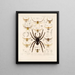 Arachnides Araneidea Pl 11 - Frederick DuCane Godman — gerahmtes Bild an der Wand