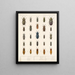 Insekten Käfer Pl 067 - Frederick Du Cane Godman — gerahmtes Bild an der Wand