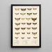 Insecta Lepidoptera Heterocera Pl 026 - Frederick DuCane Godman — gerahmtes Bild an der Wand