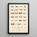 Insecta Lepidoptera Heterocera Pl 040 - Frederick DuCane Godman — gerahmtes Bild an der Wand