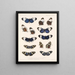 Insekten Lepidoptera Rhopalocera Pl 018 - Frederick Du Cane Godman — gerahmtes Bild an der Wand