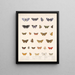 Insekten Lepidoptera Rhopalocères Pl 043 - Frederick DuCane Godman — gerahmtes Bild an der Wand