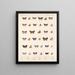 Insekten Lepidoptera Rhopalocera Pl 058 - Frederick DuCane Godman — gerahmtes Bild an der Wand