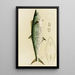 Fische I - Frederick McCoy — gerahmtes Bild an der Wand