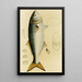Fische VIII - Frederick McCoy — gerahmtes Bild an der Wand