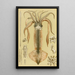 Mollusques II - Frederick McCoy — gerahmtes Bild an der Wand