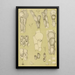 Bryozoaires III - Frederick McCoy — gerahmtes Bild an der Wand