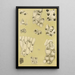 Bryozoaires VI - Frederick McCoy — gerahmtes Bild an der Wand