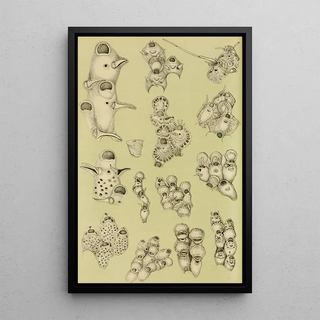 Frederick McCoy - Polyzoa VIII.webp