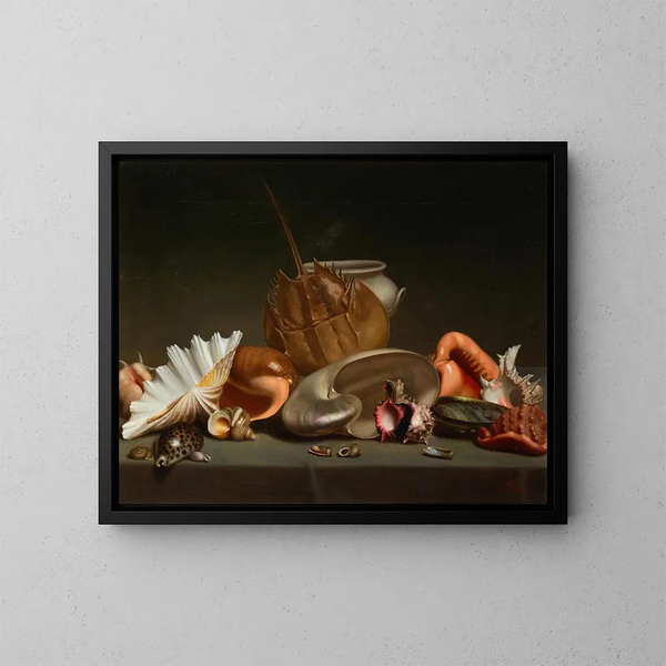 Stillleben mit Muscheln und Mollusken - Französische Schule — gerahmtes Bild an der Wand