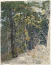 Sonnenstrahlen, die einen Waldweg treffen - Friedrich Salathé — Ansicht des Kunstwerks