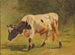 Stier - Friedrich Voltz — Ansicht des Kunstwerks