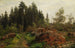 Landschaftsbild - Fritz Freund — Ansicht des Kunstwerks