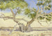 L'arbre de Marie près du Caire - Fritz Hauck — Ansicht des Kunstwerks