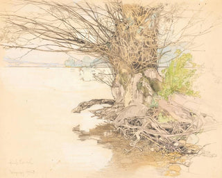 Ein Weide am Seeufer - Fritz Lach — Ansicht des Kunstwerks
