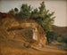 Italienisches Berglandschaftsgemälde mit überfluteten Felsen, wahrscheinlich in der Nähe von Olevano - Fritz Petzholdt — Ansicht des Kunstwerks