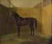 Hersilie - Fritz Thomsen — Ansicht des Kunstwerks