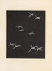 Bijutsukai Pl. 1 - Furuya Korin — Ansicht des Kunstwerks