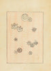 Bijutsukai Pl154 - Furuya Korin - Furuya Korin — Ansicht des Kunstwerks