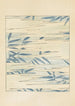 Bijutsukai Pl18 - Furuya Korin - Furuya Korin — Ansicht des Kunstwerks