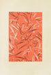 Bijutsukai Pl194 - Furuya Korin — Ansicht des Kunstwerks