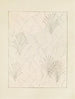 Bijutsukai Pl. 195 - Furuya Korin — Ansicht des Kunstwerks